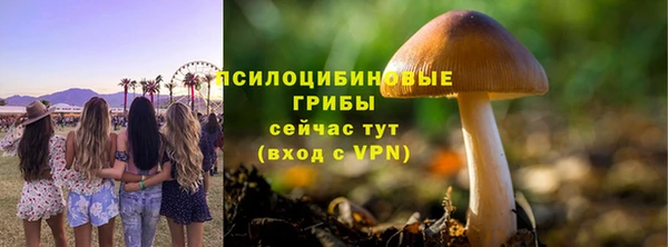 стафф Алексеевка