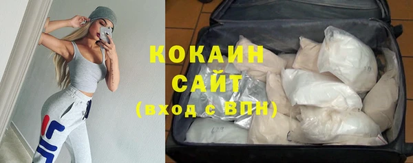 ешки Алексин