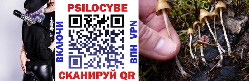 Галлюциногенные грибы Psilocybe  это телеграм  Бежецк 