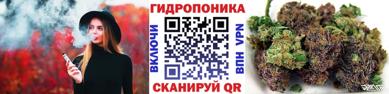 купить  сайты  shop наркотические препараты  Бошки Шишки семена  Бежецк 